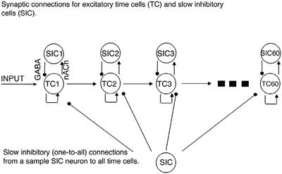 A Simplified Model of Communication Between Time Cells: Accounting for the Linearly Increasing Timing Imprecision